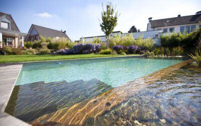 Piscine naturelle à Colmar : une option écologique pour votre piscine
