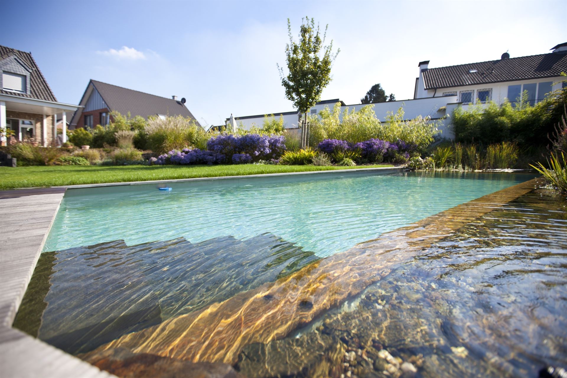 Piscine naturelle à Colmar : une option écologique pour votre piscine