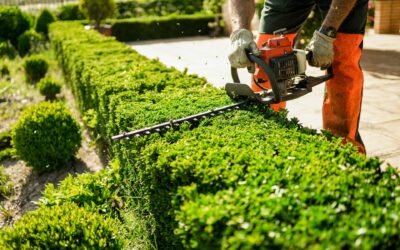 Entretien de jardin à Cernay : Pourquoi confier cette tâche à un professionnel ?