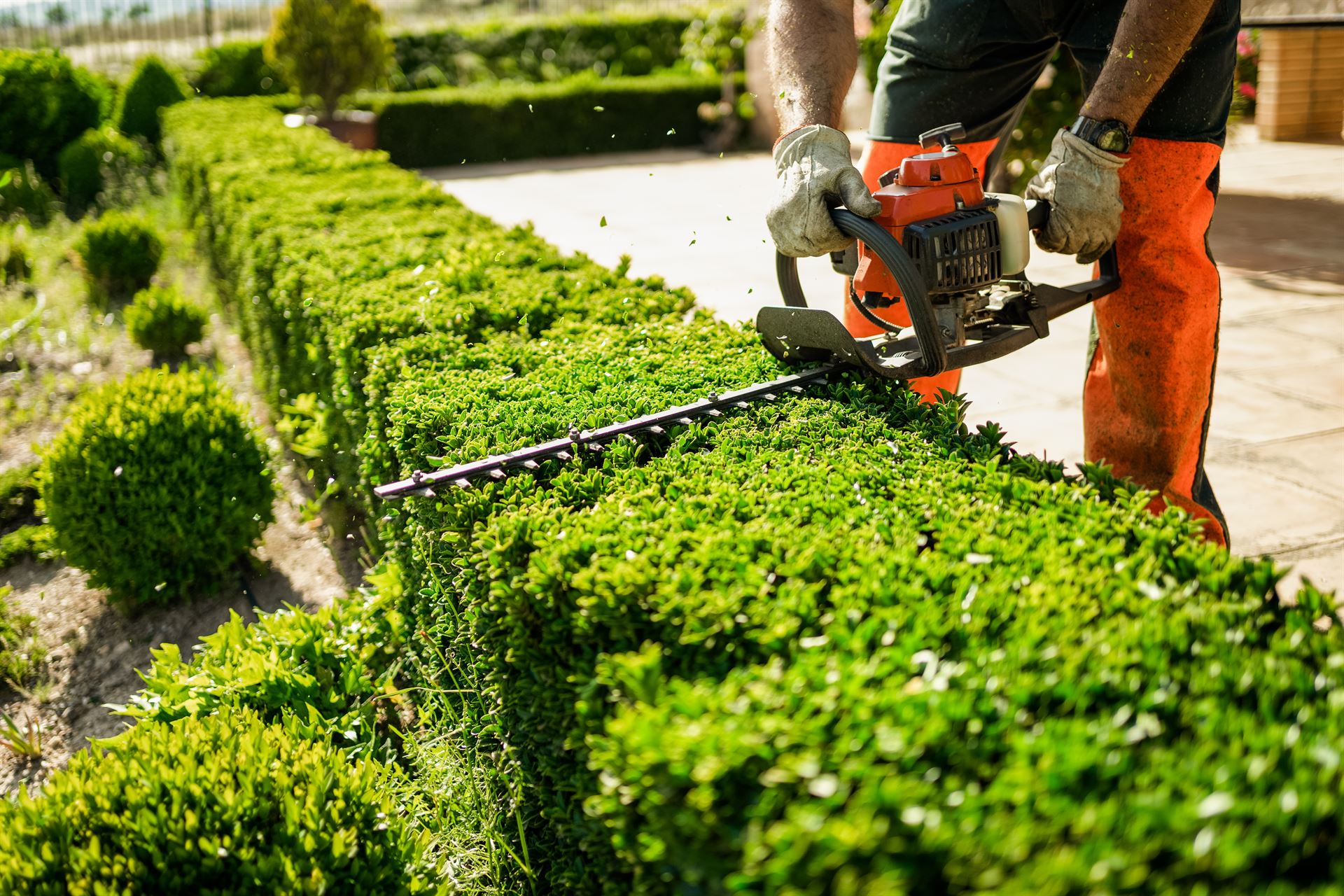 Entretien de jardin à Cernay : Pourquoi confier cette tâche à un professionnel ?