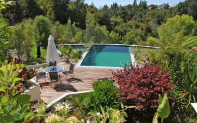 Piscine biologique à Cernay : une variété naturelle