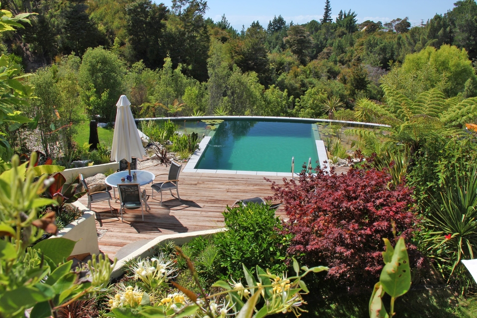 Piscine biologique à Cernay