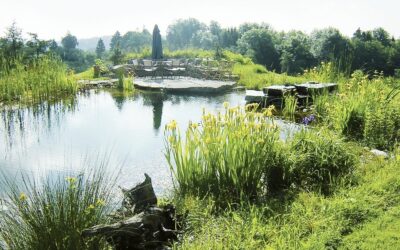 Création d&rsquo;espaces verts à Cernay : un jardin à votre image