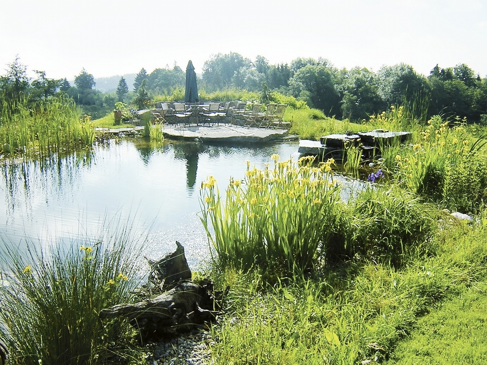 Création d'espaces verts à Cernay