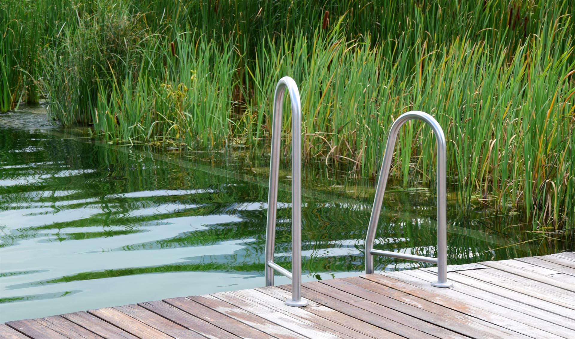 Piscine écologique à Mulhouse